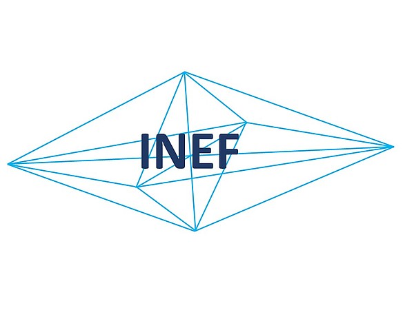 About INEF